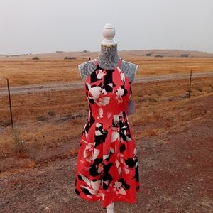Women's dress
